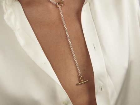 TS Short Silver and Gold Lariat Necklace Online