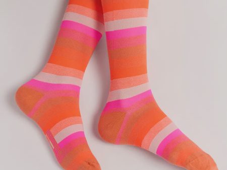 EA Flogo Striped Socks in Wild Strawberry Online Sale