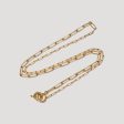 BON BON Paper Clip Chain in Gold Fashion