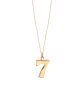 TS Gold Lucky No 7 On Trace Chain Supply