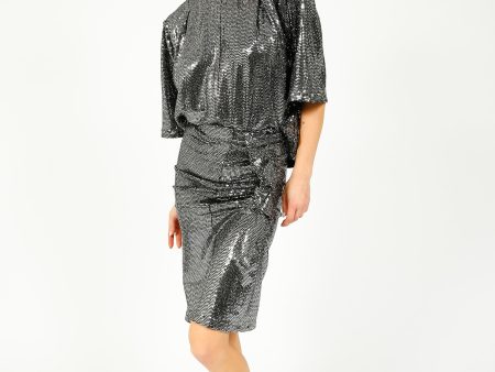 IM Dolene Skirt in Silver Online now