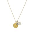 Ashiana JNI03155 Coin, Gem Necklace in Grey Moonstone For Cheap