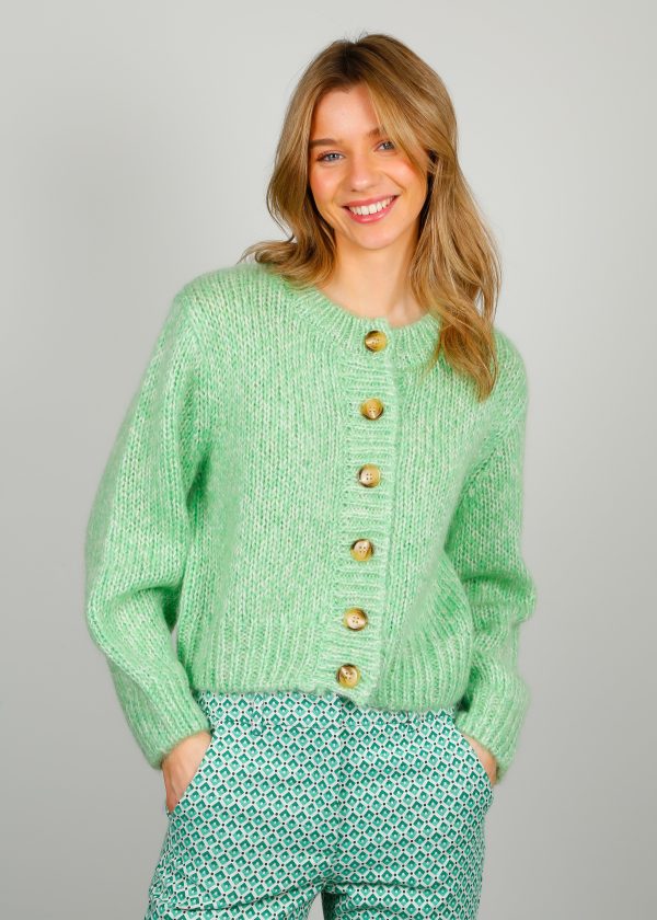 SLF Suanne Cardi in Absinthe Green Online Hot Sale