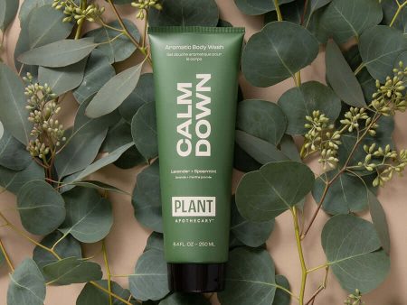 PLANT Calm Down Body Wash Supply