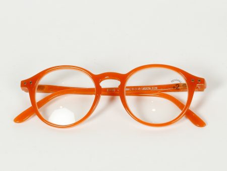 Izipizi Reading Glasses D in Spicy Clove Fashion