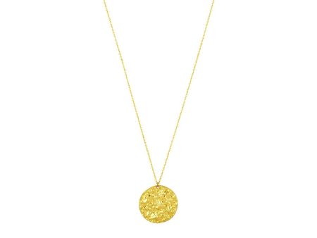 Ashiana JNI00928 Long Coin Pendant Necklace in Gold For Discount