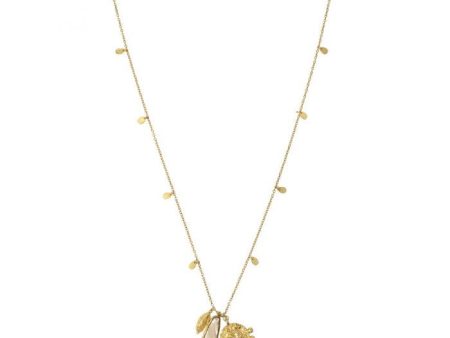 Ashiana JNI07134 Golden Horseman Necklace For Cheap