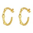 Ashiana JEI00960 Mini Cruise Earrings in Gold For Discount