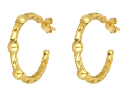 Ashiana JEI00960 Mini Cruise Earrings in Gold For Discount